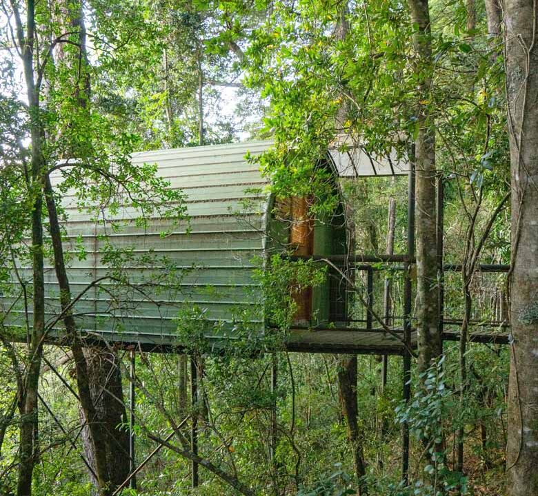 treehouse1