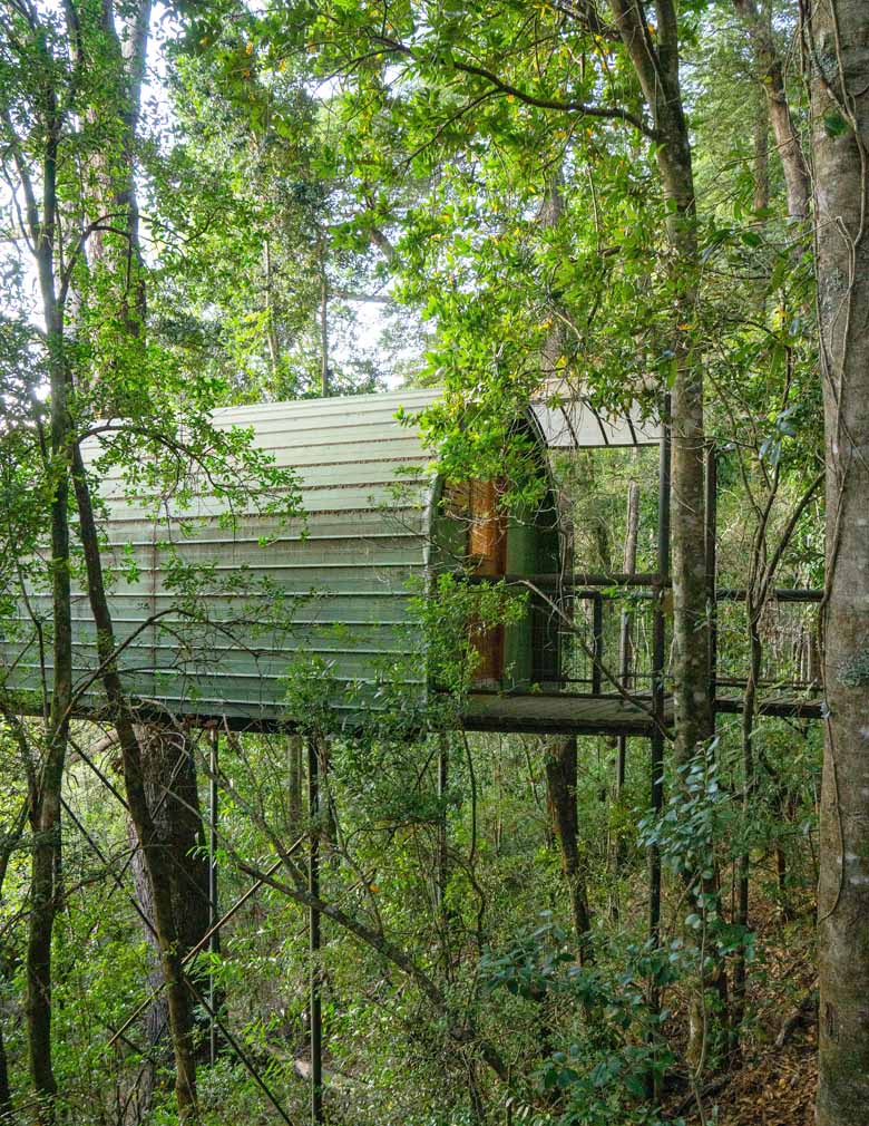 treehouse1