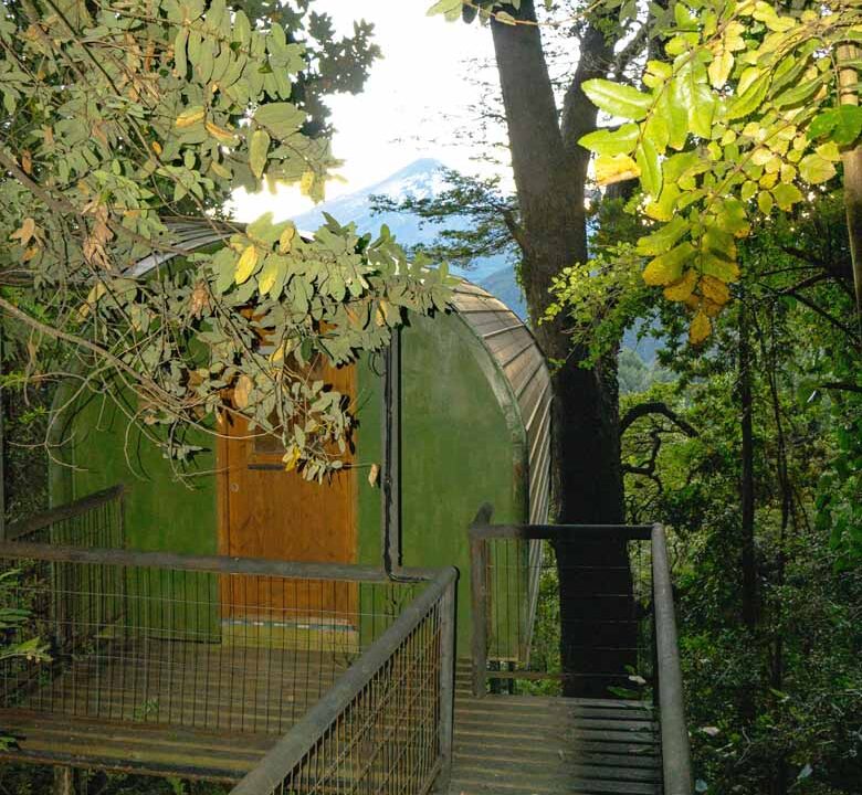 treehouse2