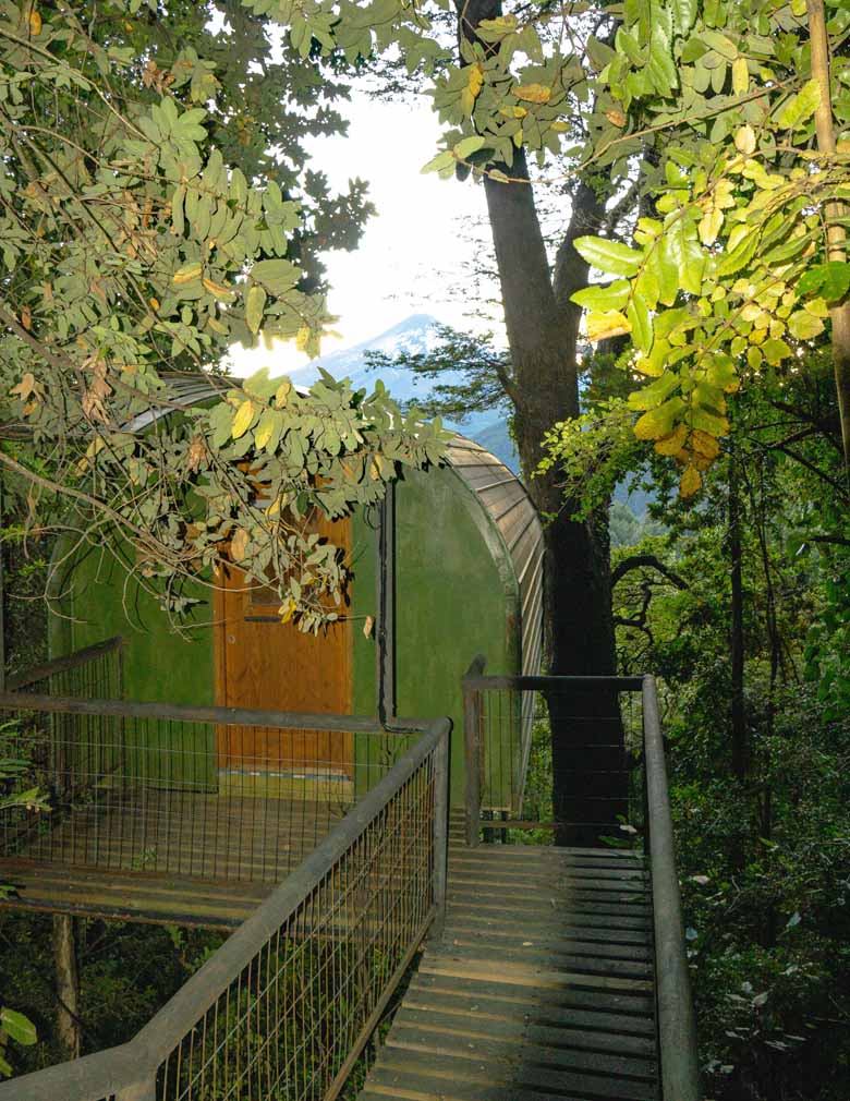 treehouse2